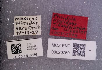Media type: image;   Entomology 20750 Aspect: labels